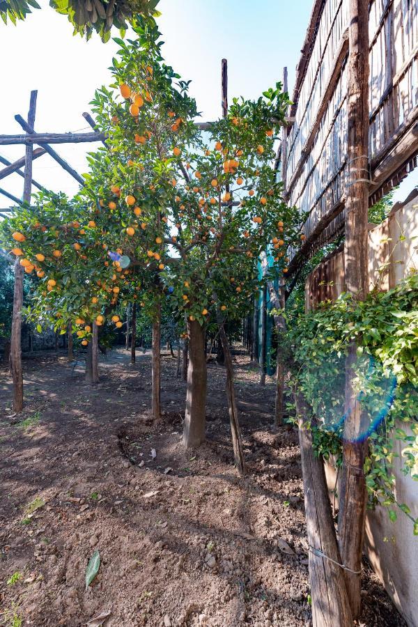 Pane E Marmellata Hotel ซานตาเญลโล ภายนอก รูปภาพ
