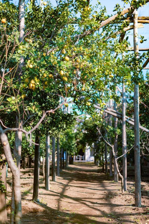 Pane E Marmellata Hotel ซานตาเญลโล ภายนอก รูปภาพ